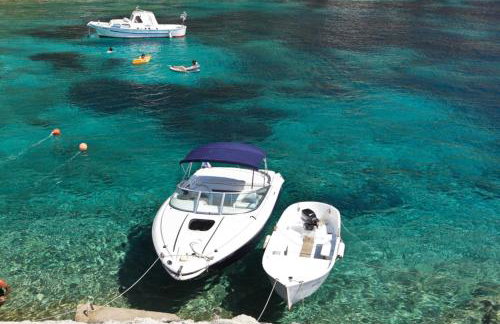 Robinson Elizabeta - Photo 18