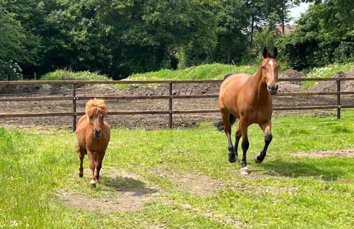 Ferienwohnung, Schlafzimmer 2 - Foto 34