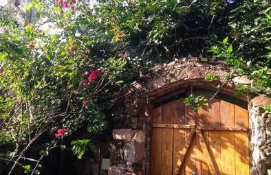 Jardim das orquídeas - Foto 27