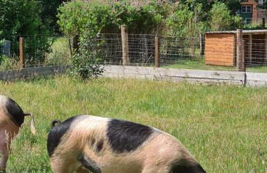 Ferienwohnung Lama - Foto 18