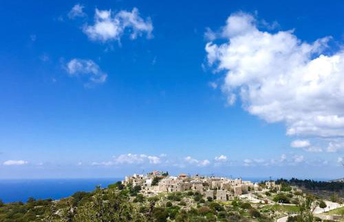 Avgonima All Seasons Hotel - Photo 17