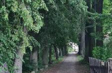 Dom na Mazurach Pilec- Apartament - Foto 27