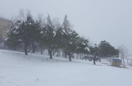 Allevamento B&B - Foto 45