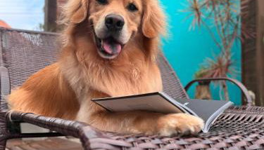 Villa Rosa e Mar - Praia do Rosa - Foto 5