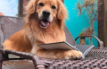 Villa Rosa e Mar - Praia do Rosa - Foto 5