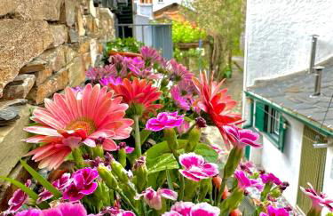 Love, made in xisto - Foto 48