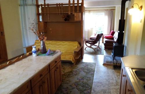 Górski Zakątek z kominkiem i tarasem - Foto 14