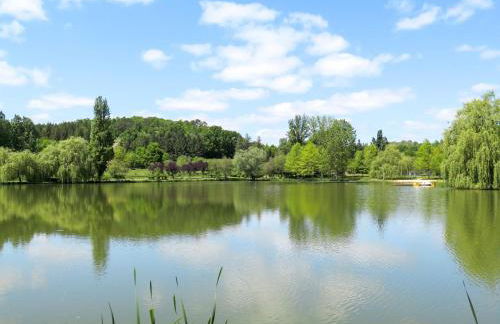 Holiday Home Le Champ du Lac by Interhome - Photo 34