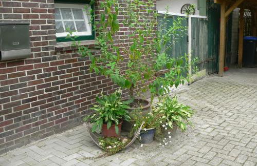 Ferienhaus Zum grünen Holz - Foto 8