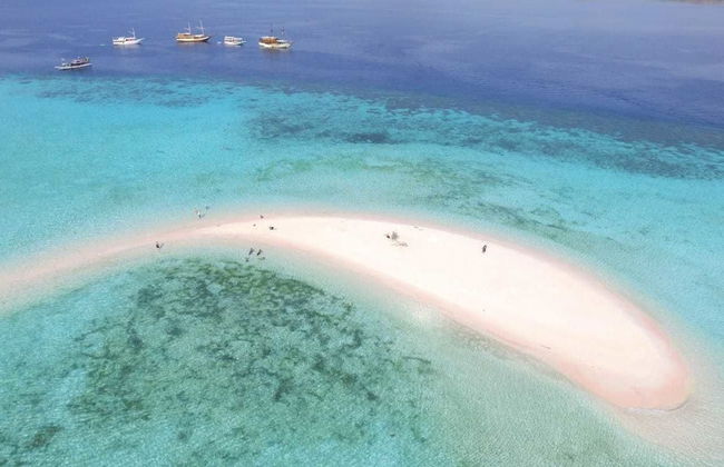 Samara I Liveaboard - Photo 21