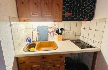 Relax-Wohnung mit Sauna und Badewanne - Foto 4