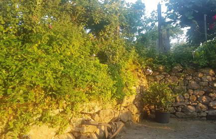 Casa de Labranza Naz - Foto 28