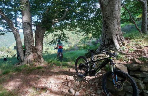 Da Castruccio degli Antelminelli - Foto 30