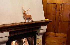 Domek Pod Kogutkiem Na Dolinie - Foto 17