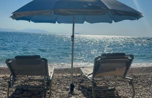 Apartment Xenia - Photo 15