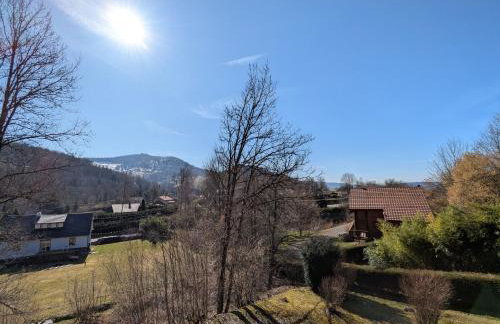 Chalet confortable avec 4 chambres, cheminée, grand terrain, proche pistes et lac - Foto 27