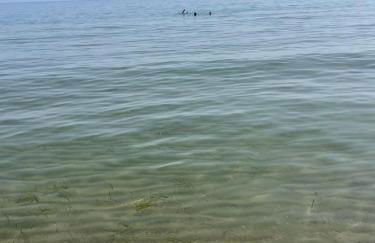 Mediterranea Suite Holiday Home - Foto 35