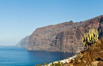 Green Cactus cosy Loft, Wifi & Gym - Foto 32