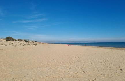 Alma&Mateo - Foto 39