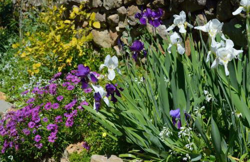 Casa Rural Ahoraya - Foto 45