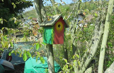 Ferienwohnungen Haus Albert - Foto 37