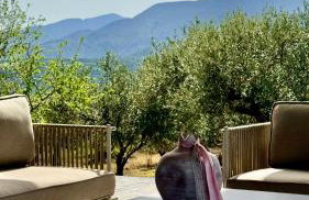 The Olive Nest House - Foto 1