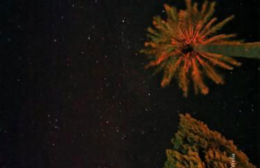 Finca La Favorita- Suites - Foto 54