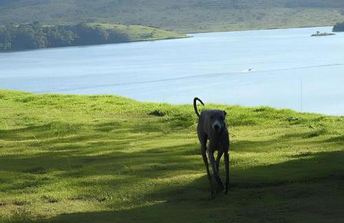 Chalé Mirante, piscina, cachoeira, lago e vista espetacular em Alexânia Goiás - Foto 21