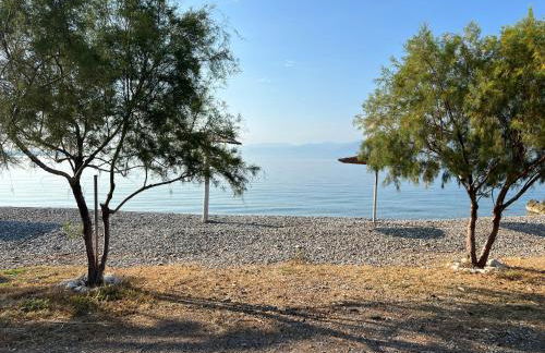 Nafpaktos PebBle Apartments in Marathias - Foto 12