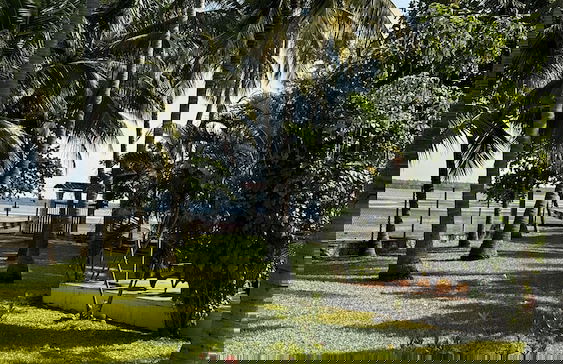 Paradise Bay - Foto 38