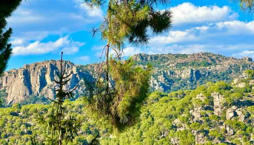 Costa De Madrid-San Martin de Valdeiglecias - Foto 4