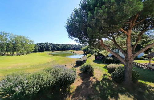 SAS Vac Appart - Photo 12