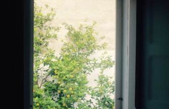 La Pergola di Amalia - Foto 32