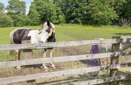 Bullace Barn - Foto 54