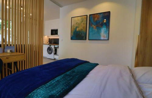 L Ecrin Bleu maison studio neuve jardin et clim - Foto 23