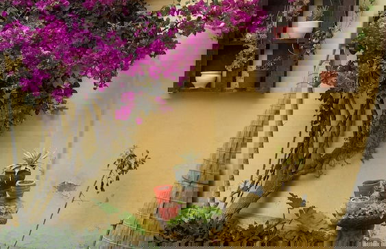 Huanchaco Departamentos - Foto 23