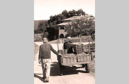 wine apartment le sedici - Foto 60