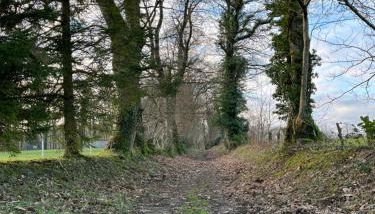 Love Spa Normandie - Foto 2