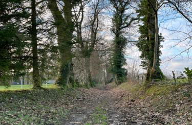 Love Spa Normandie - Foto 2