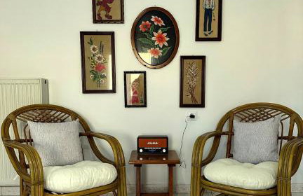 Eleocharis near Amfilochia & Amvrakikos Gulf - Foto 2