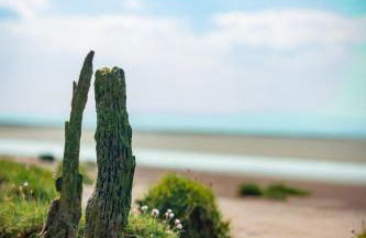 Bridge View - Foto 22