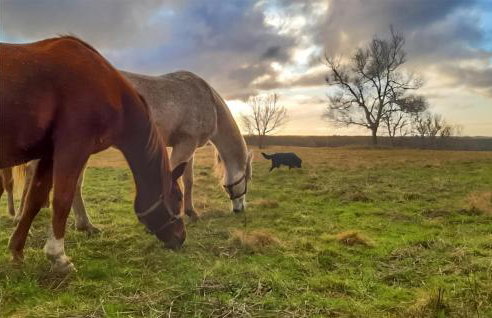 2 Bedroom Lovely Home In Zelazo - Foto 3