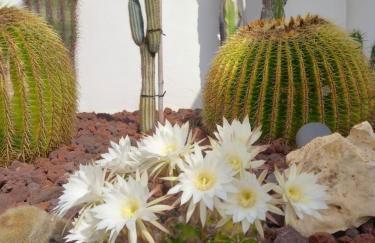 Casa de Moledo jacuzzi e sauna - Foto 9