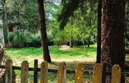 La Stella Alpina - Photo 29