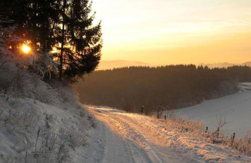 Feriendorf Falkenegg - Foto 34