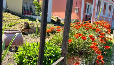 Kampos View - Foto 2, Garden