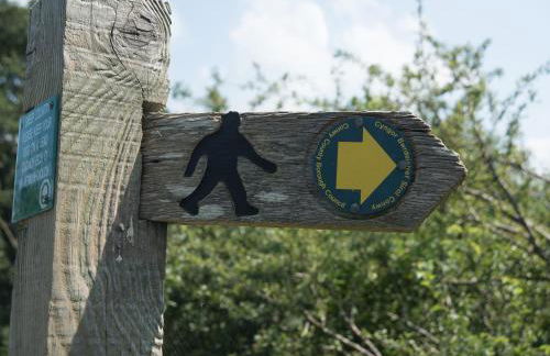 Dol Y Mynydd The Mountain Meadow - Cottage - Photo 35