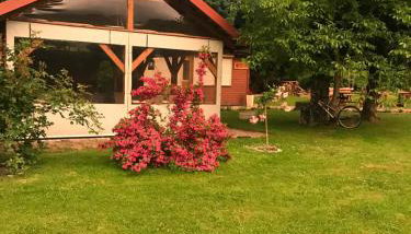 Gospodarstwo Agroturystyczne Marzena - Foto 2