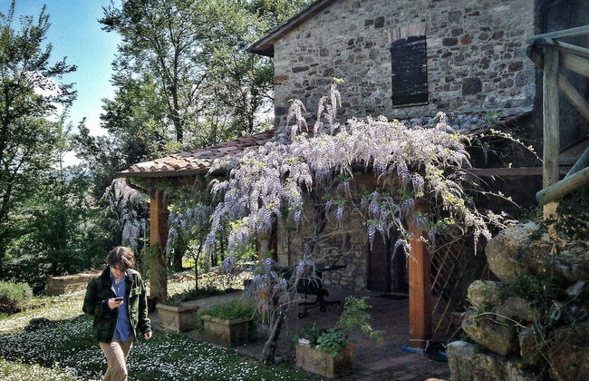 Agriturismo Casa Greppo - L'Ulivo - Foto 18