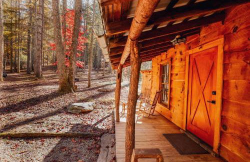 Multiple cabins at Cabin Fever - Foto 7